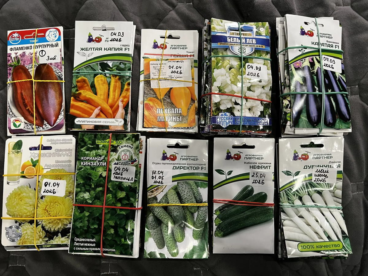 Всё распланировано ещё  в ноябре. Фото автора