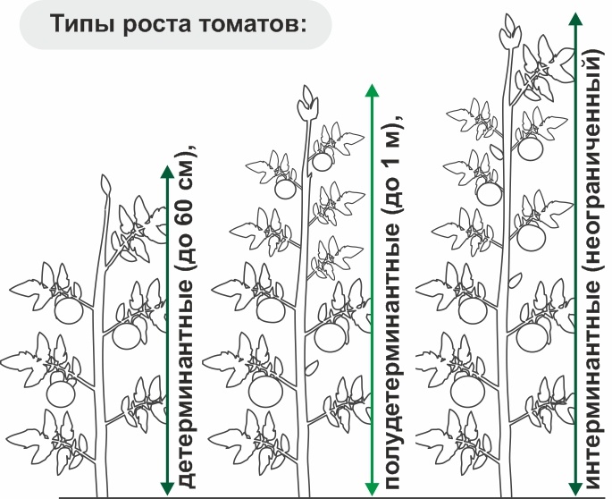 Напоминалка на всякий случай. Картинка из открытых источников