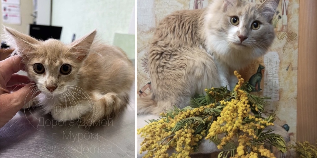 Привет из дома!