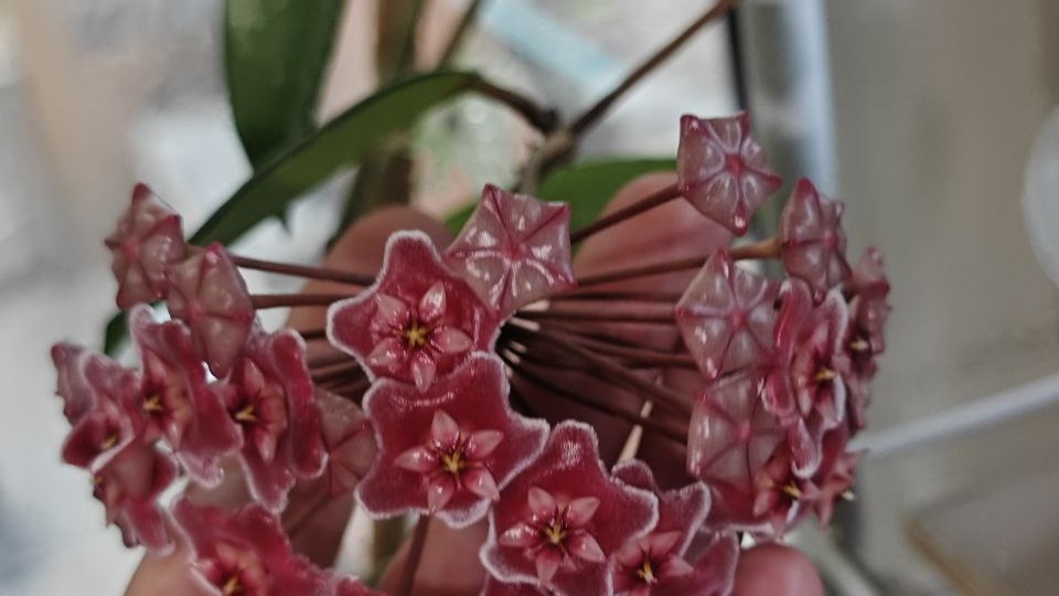 Доброе утро