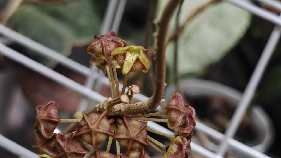 А ещё вот вот и произойдет чудо