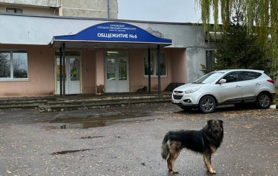    Фото: ИА "Орелград" / Светлана Числова