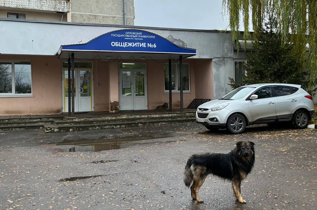    Фото: ИА “Орелград” / Светлана Числова