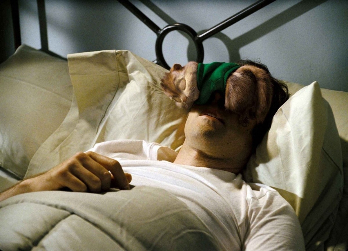 Фильм "Элвин и бурундуки"                                                                                                                         Источник: ru.kinorium.com