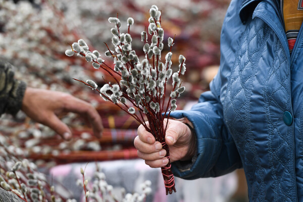 Александр Кряжев/РИА Новости   📷