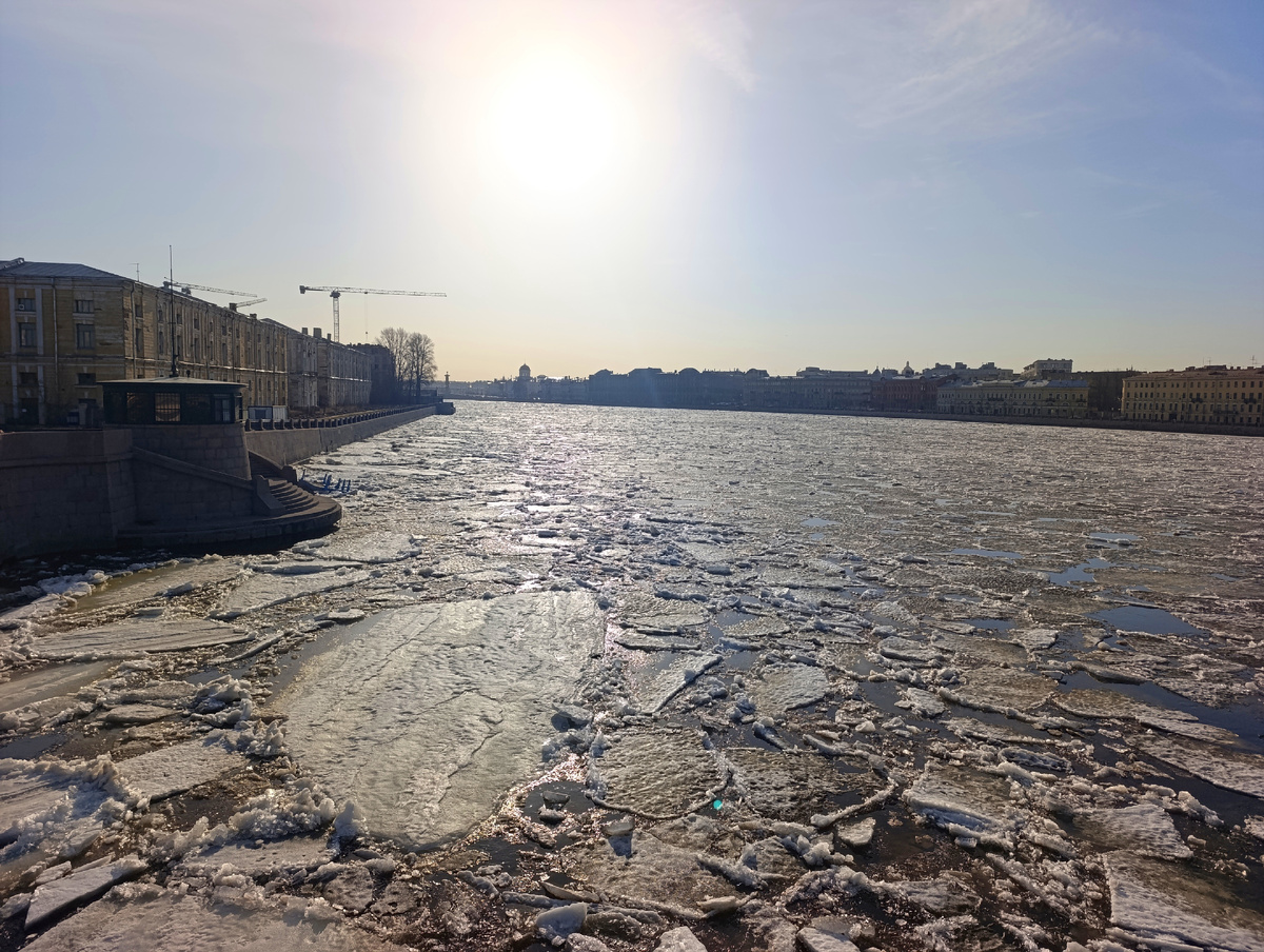 Нева с Петроградской стороны. 