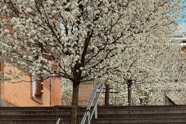 trodriguezzz/Instagram   📷