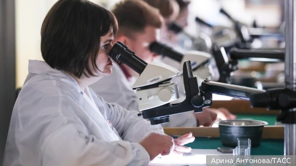     Фото: Арина Антонова/ТАСС   
 Текст: Мария Иванова