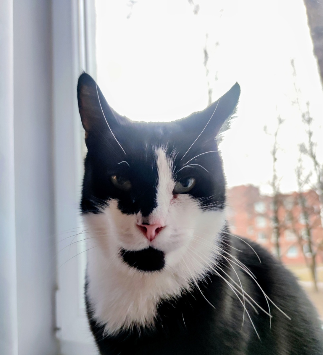 Вот так его раздуло