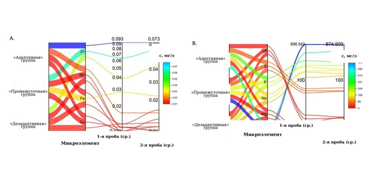    Концентрация микроэлементов в образцах слюны участников до и после эксперимента / © Portnova, G.V., Proskurnina, E.V., Liaukovich, K. et al. Unlocking Stress Coping Mechanisms: Implications for Salivary Antioxidant Defense and Trace Element Homeostasis. J Mol Neurosci 76, 19 (2026)