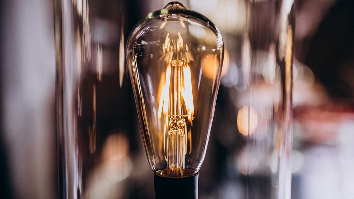    Фото: freepik.com/senivpetro