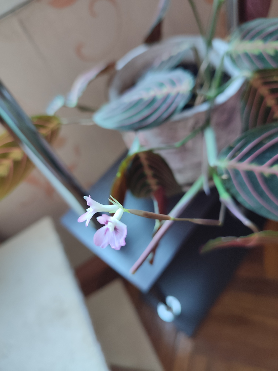 Фото от субботы