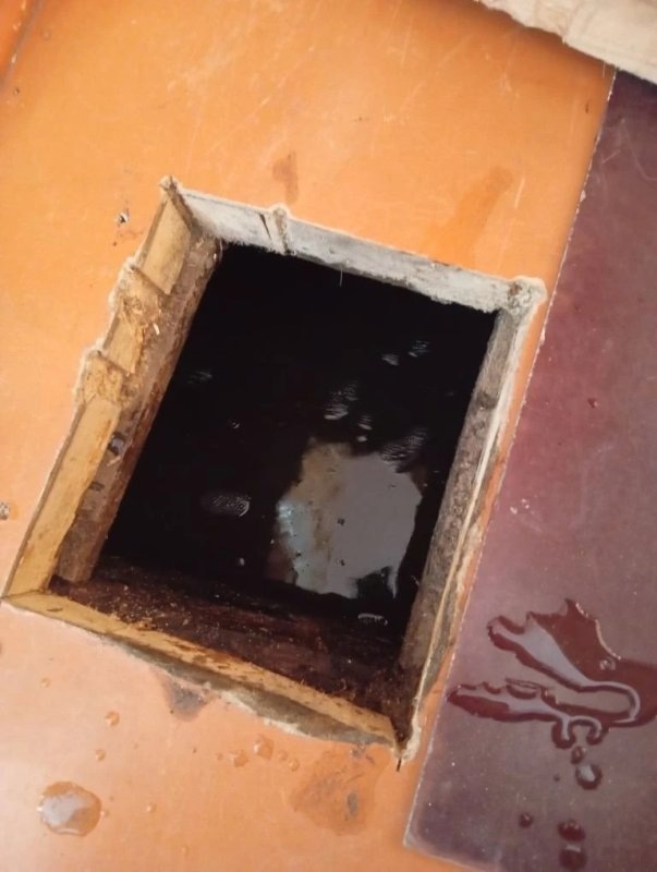     © фото - ЦАО Курска