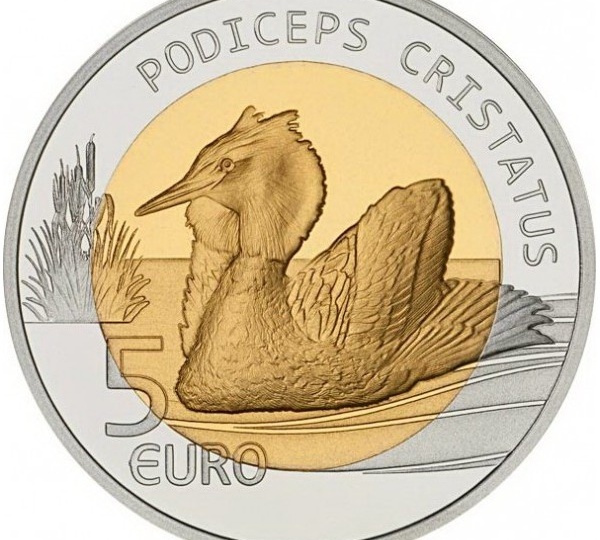 Птичьи трели и звон монет: встречаем весну на Покровке 🕊