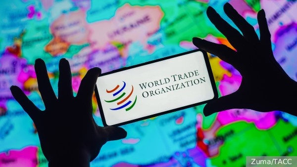     Фото: Zuma/ТАСС   
 Текст: Алексей Дегтярёв