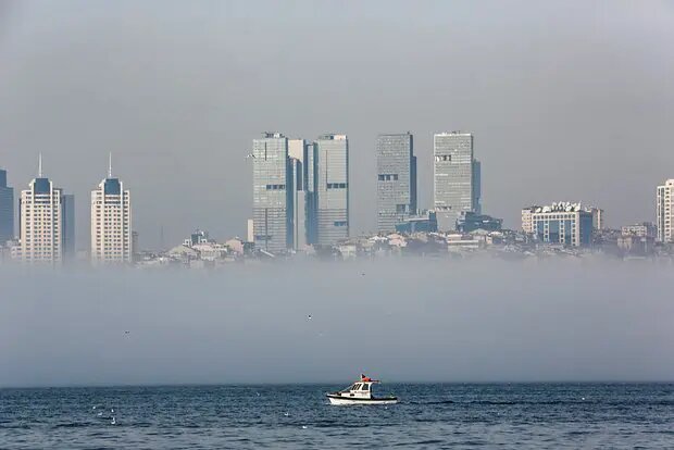    Источник: lenta.ru/ Екатерина Авдеева