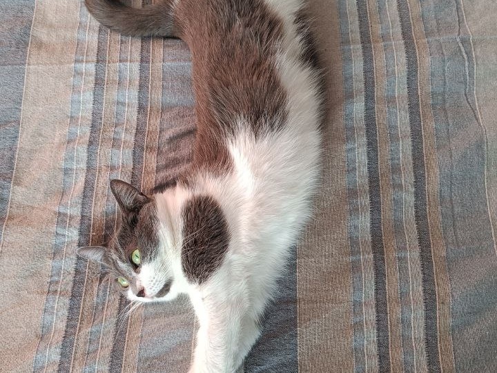 Всем привет от балеринки Шушуньки и примадонны Басямбы