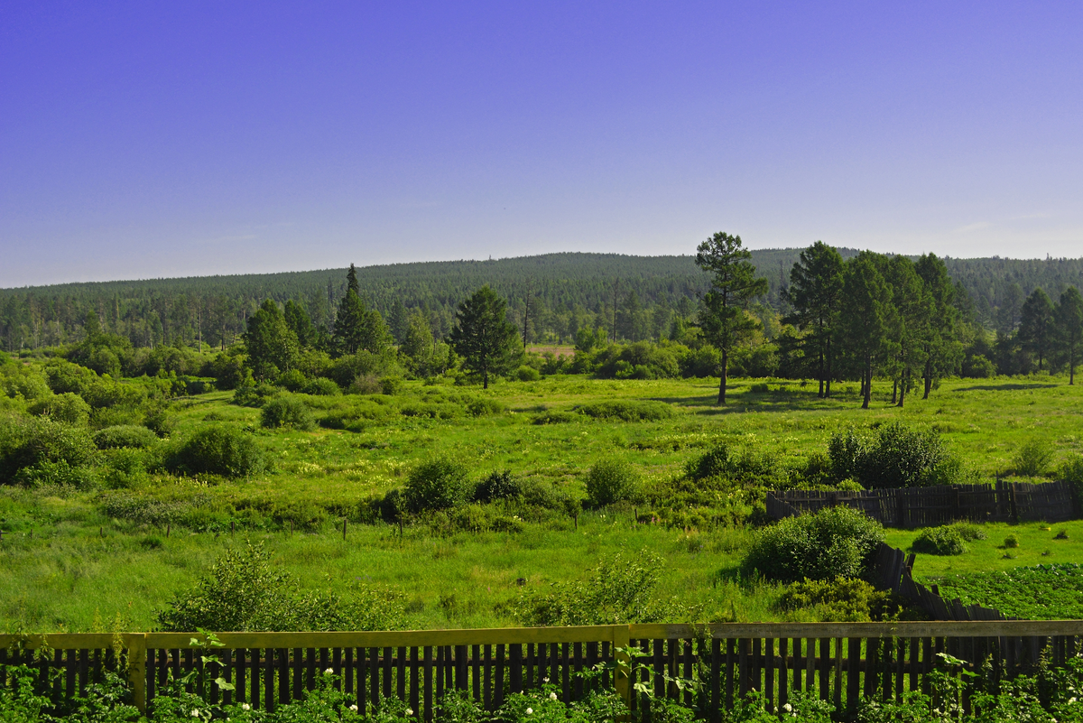 А это летний вид с крыльца