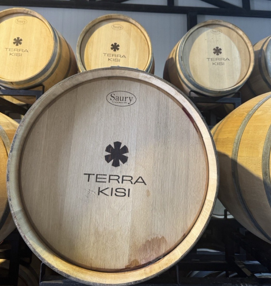 Terra Kisi основатель винодельни - Давид Мачавариани