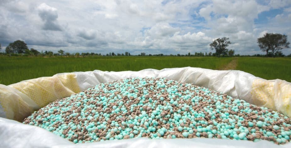 взято из открытых источников