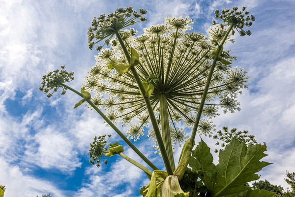 BestPhotoPlus/Shutterstock/FOTODOM   📷