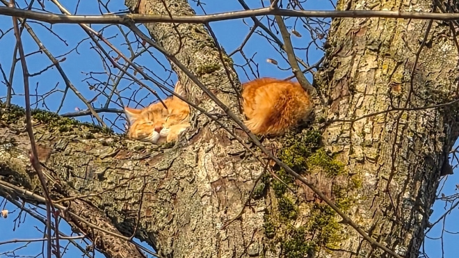 Фото: https://vk.com/wall-13144162_64934