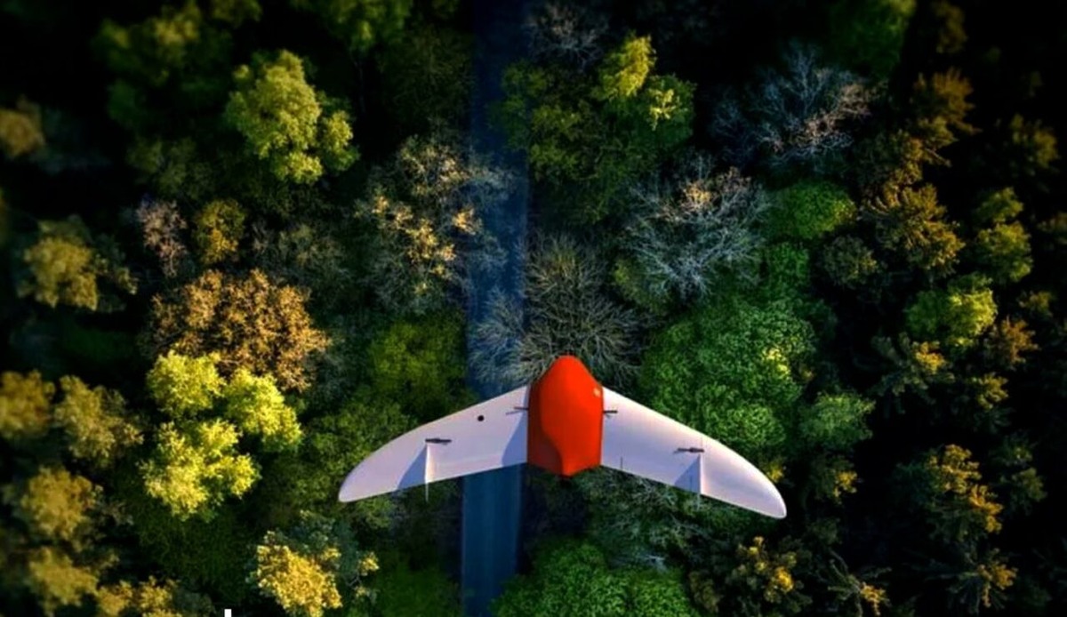    Фото: Авиалесоохрана Карелии