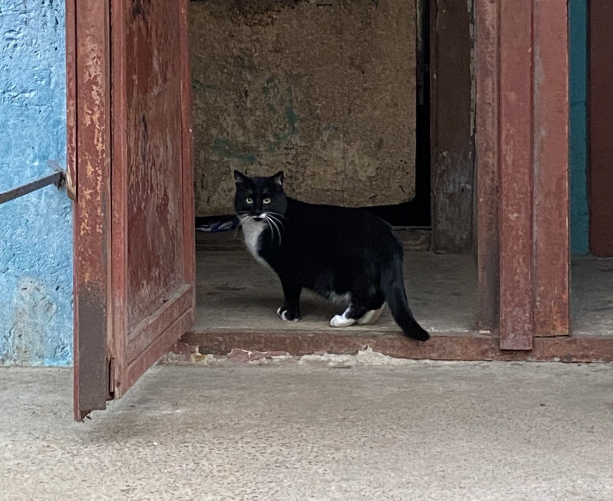    Фото: ИА “Орелград” / Светлана Числова