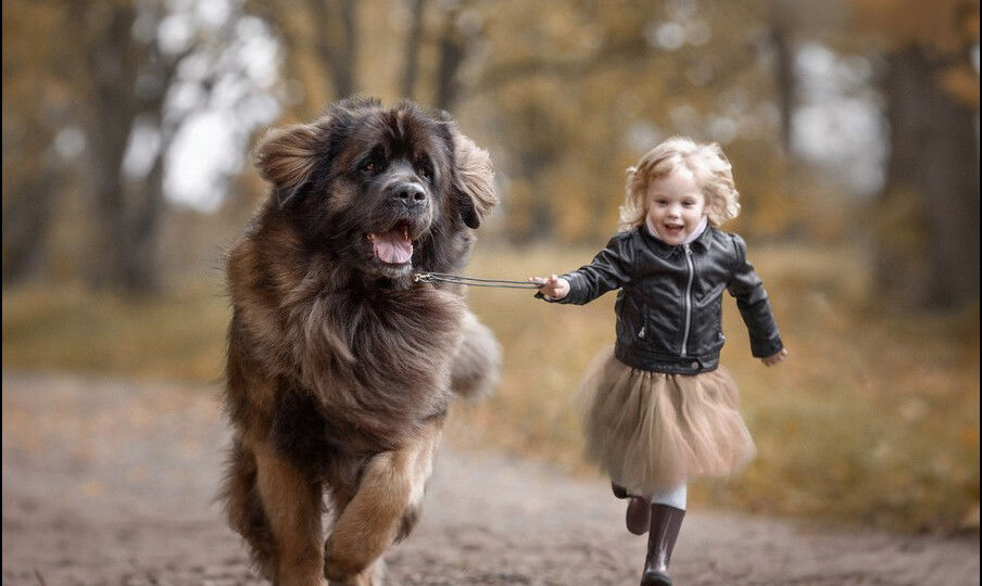 Нужно ли детям заводить домашнее животное?