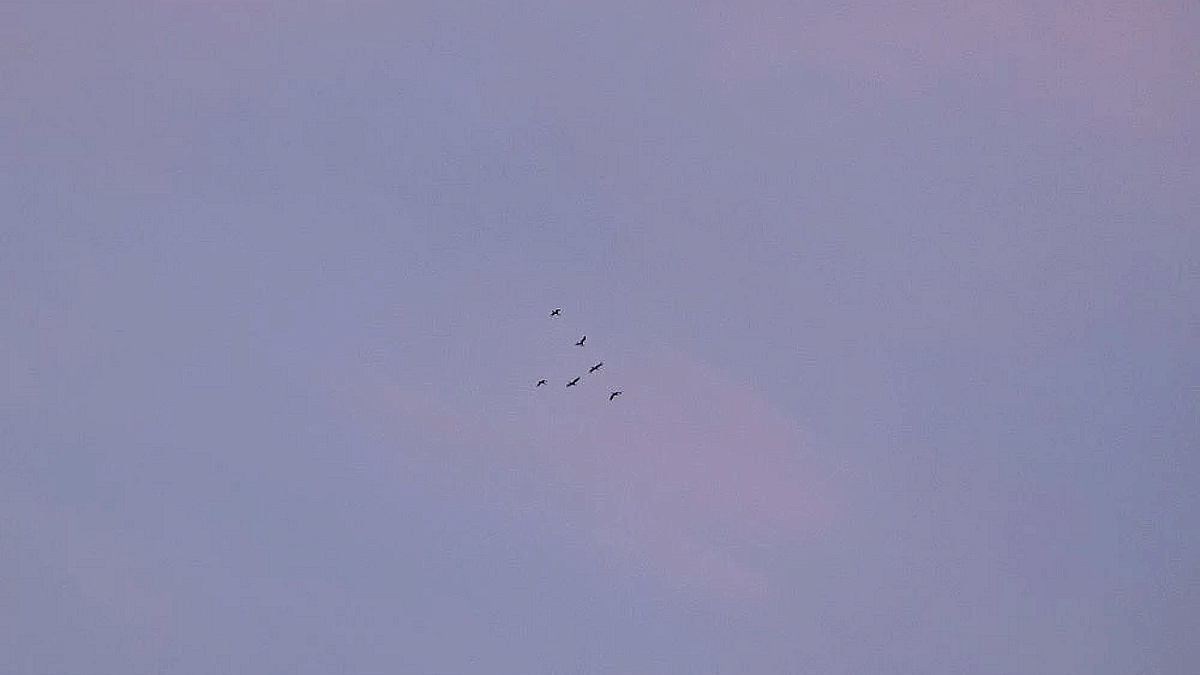    Фото: телеканал «Краснодар»