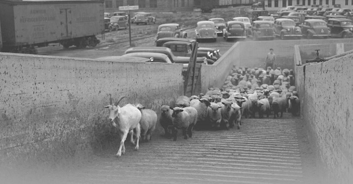 magazinelavoixdedieu.wordpress.com