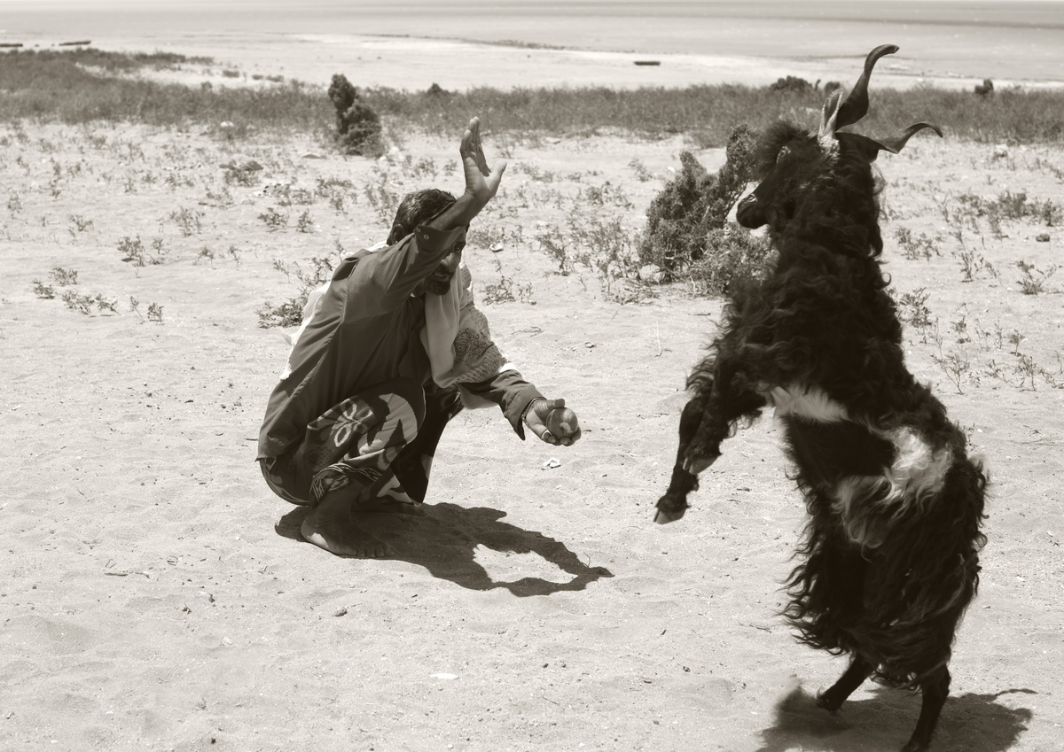 thewrightinitiative.com