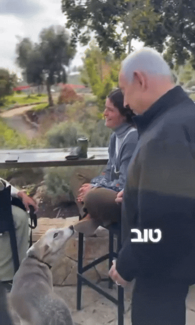    Обручальное кольцо исчезает на глазах Видео: Telegram/Бладсикер