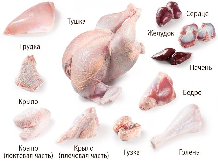 Фото из интернета