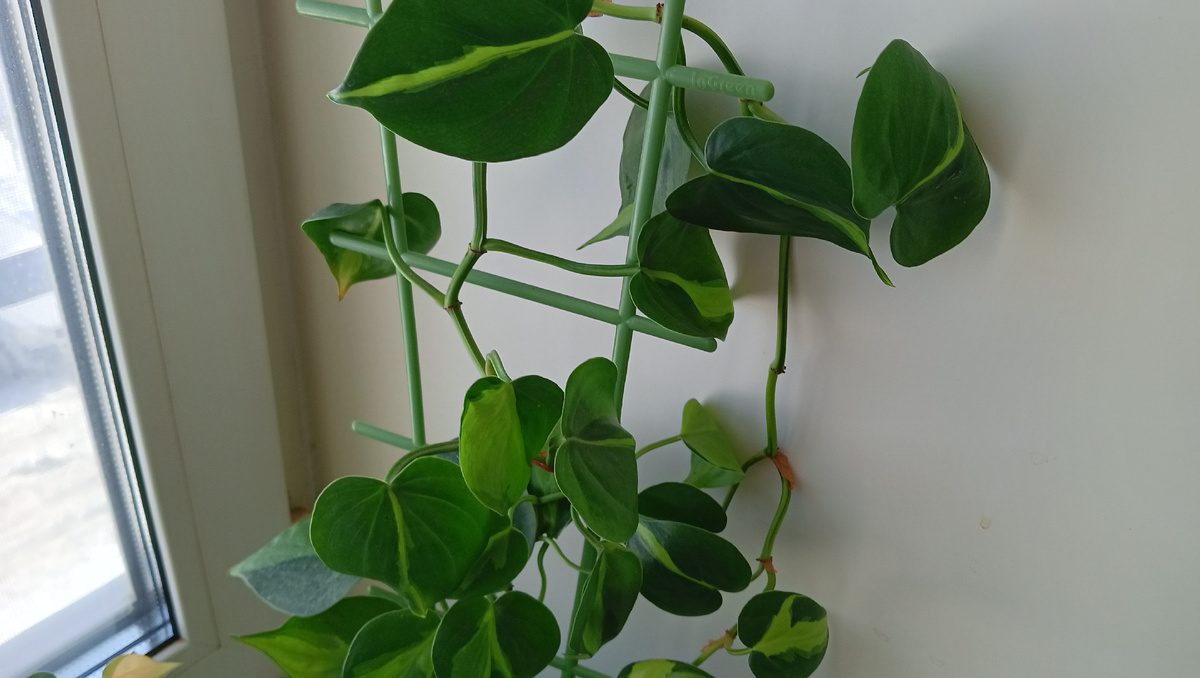 Лесенка подставка                                                      