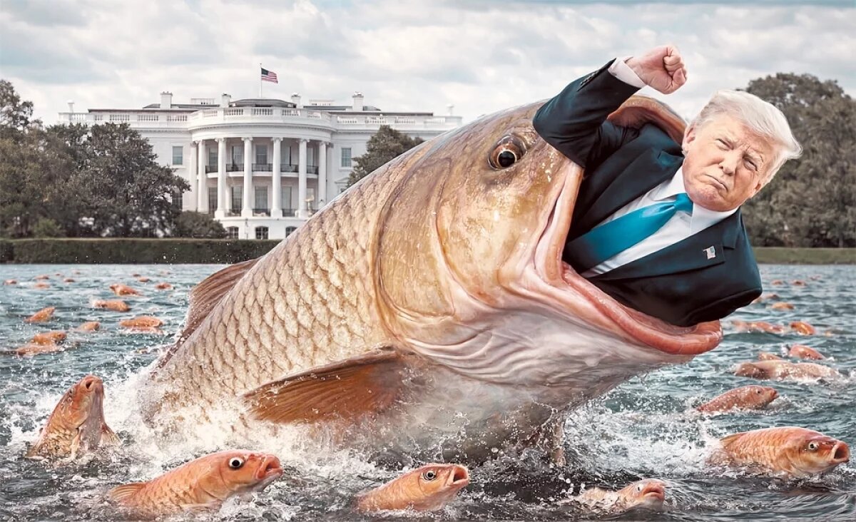    Президент США нашёл нового врага на Востоке – но как победить азиатского карпа с помощью санкций?