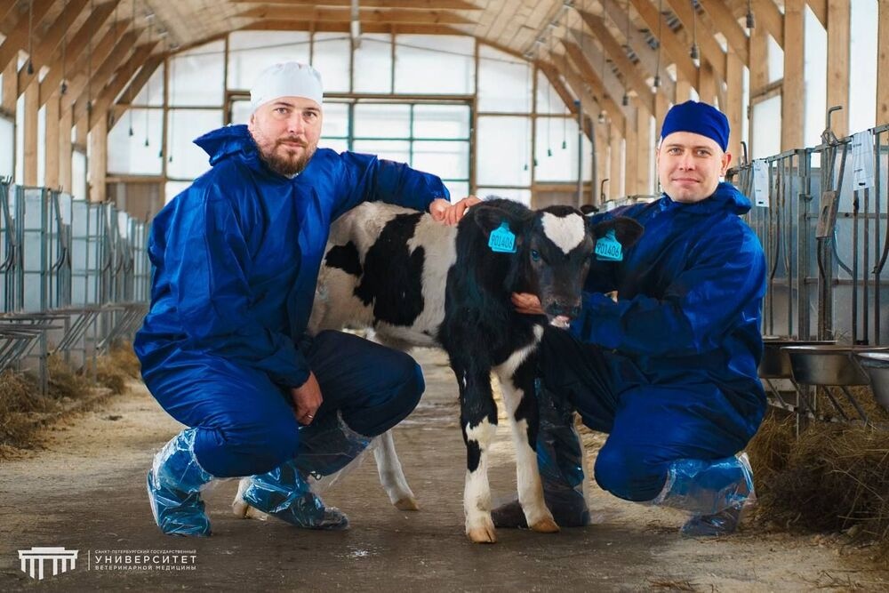    У Протоса скоро появятся братья и сестры из пробирки. / СПбГУВМ