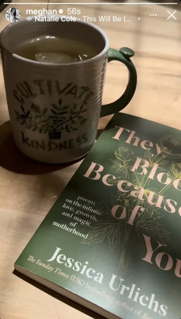 Социальные сети Меган Маркл