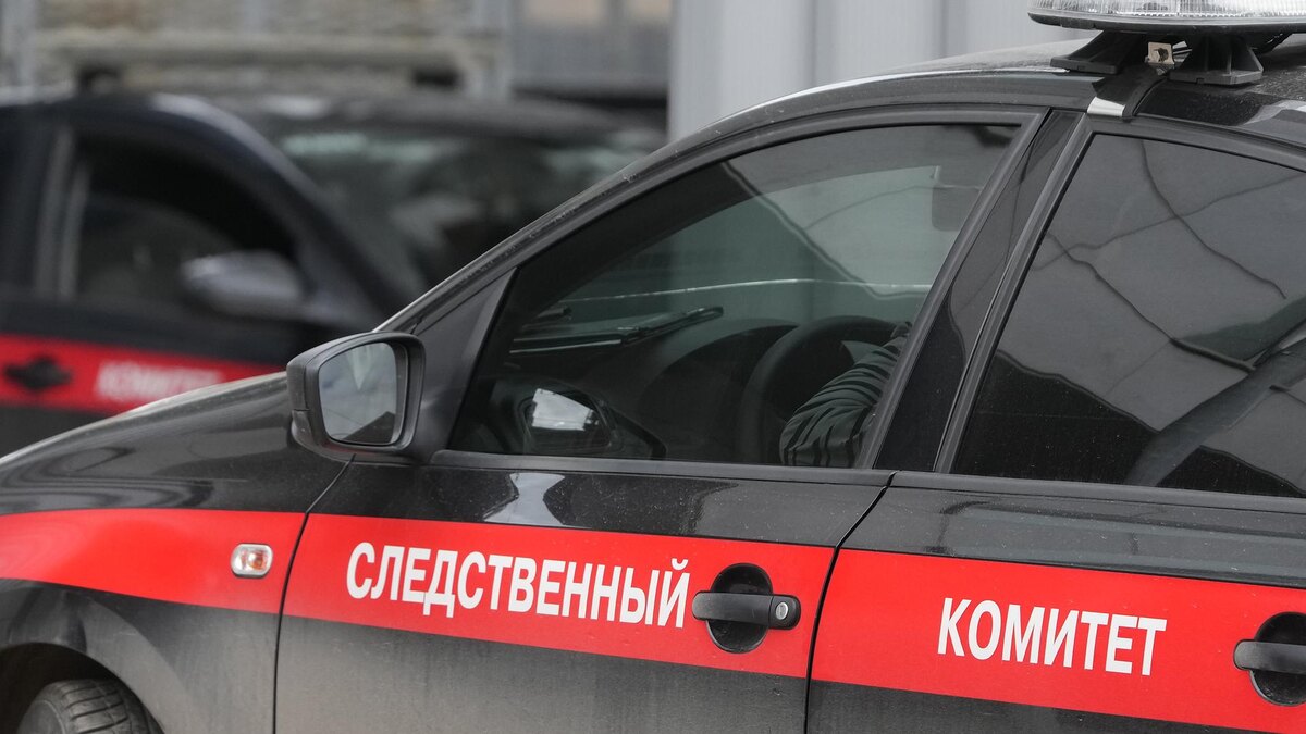    Фото: ИЗВЕСТИЯ/Дмитрий Коротаев