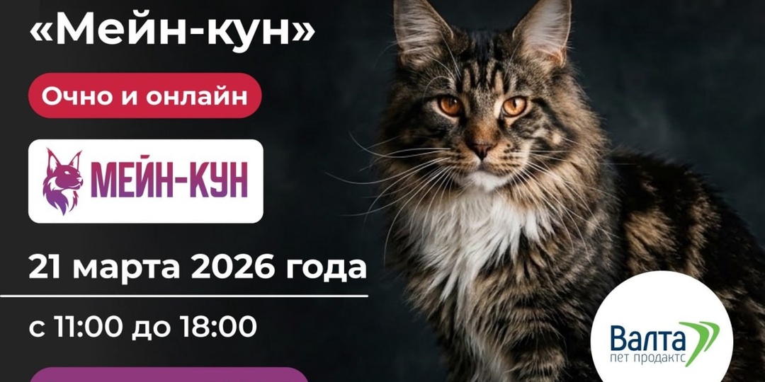 Центр дополнительного образования АНО ВО МВА и Валта Пет Продактс приглашают вас на Монопородную междисциплинарную конференцию «Мейн-кун