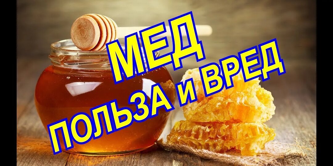 Мед: польза и вред для здоровья человека: подробный разбор