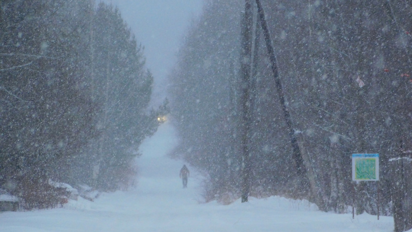    Вячеслав Вольгин