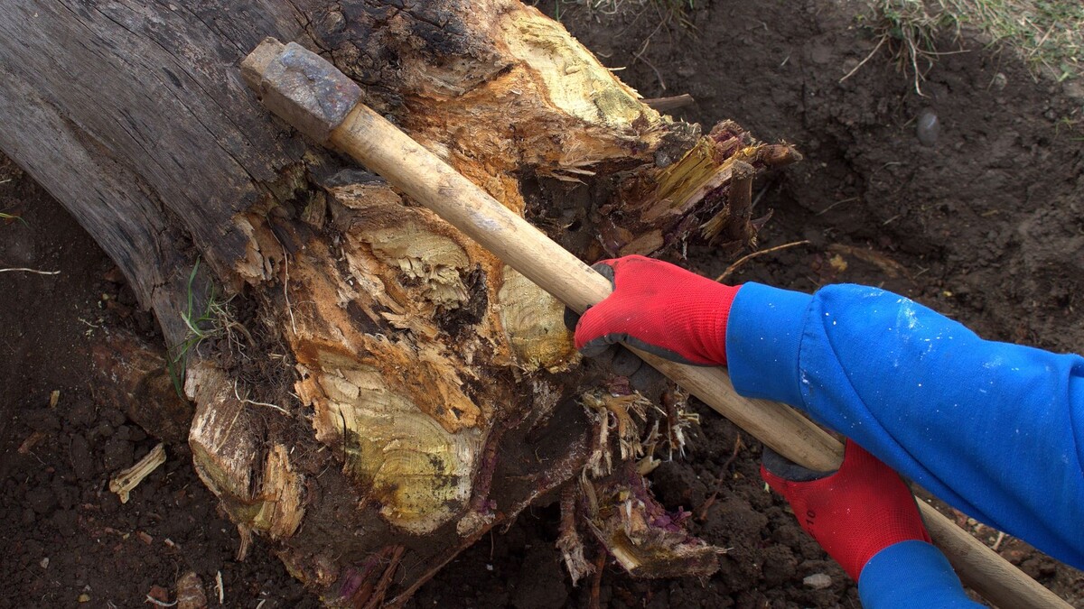    Фото: goldleviza/Shutterstock/Fotodom