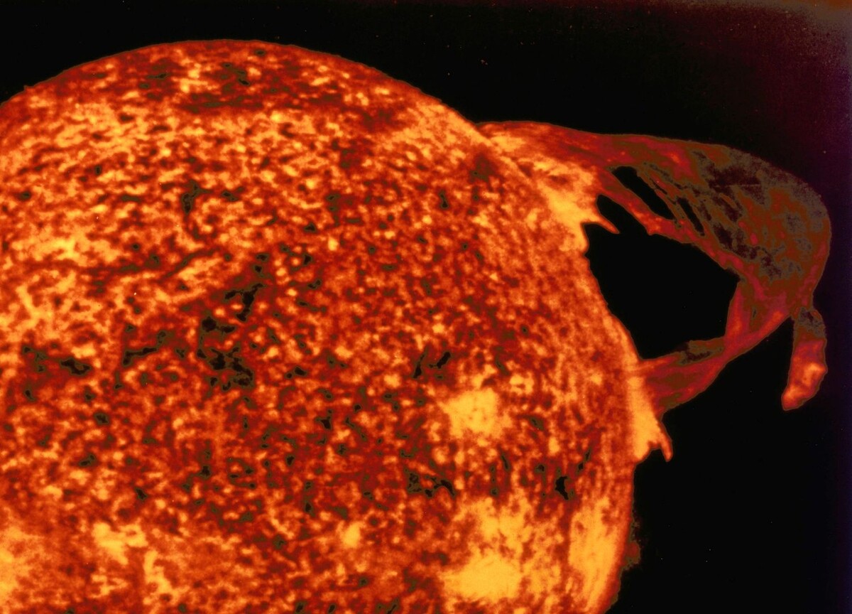     / Источник: © Global Look Press