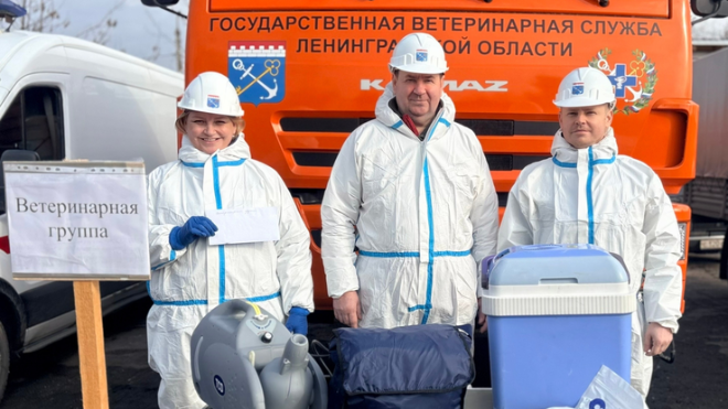 Фото: https://vk.com/wall-192448556_8717