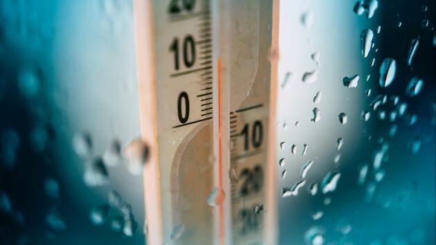 В Сибири и на Урале март выстрелил майским теплом