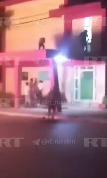    Фото: скриншот видео из телеграм-канала «RT на русском»