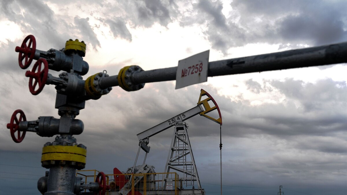 © Sputnik / Максим Богодвид / Перейти в фотобанк