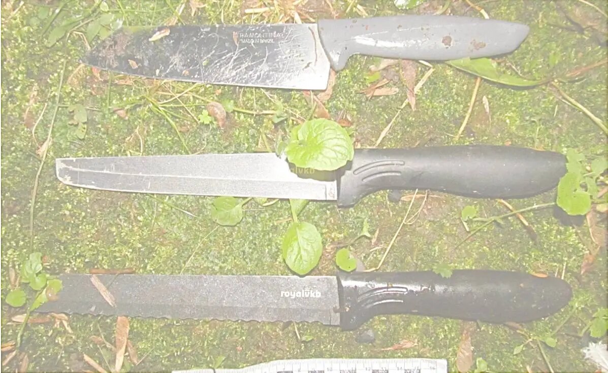    Фото: пресс-служба прокуратуры Петербурга.