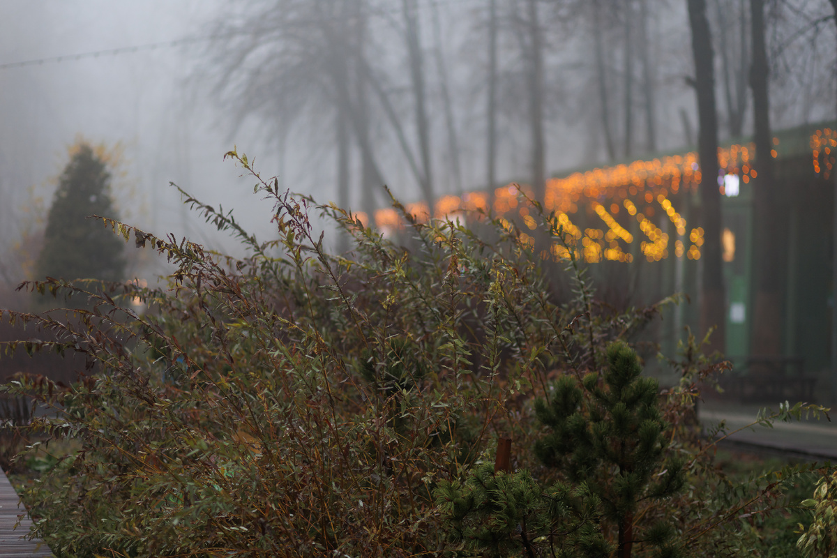 В тот день был туман.